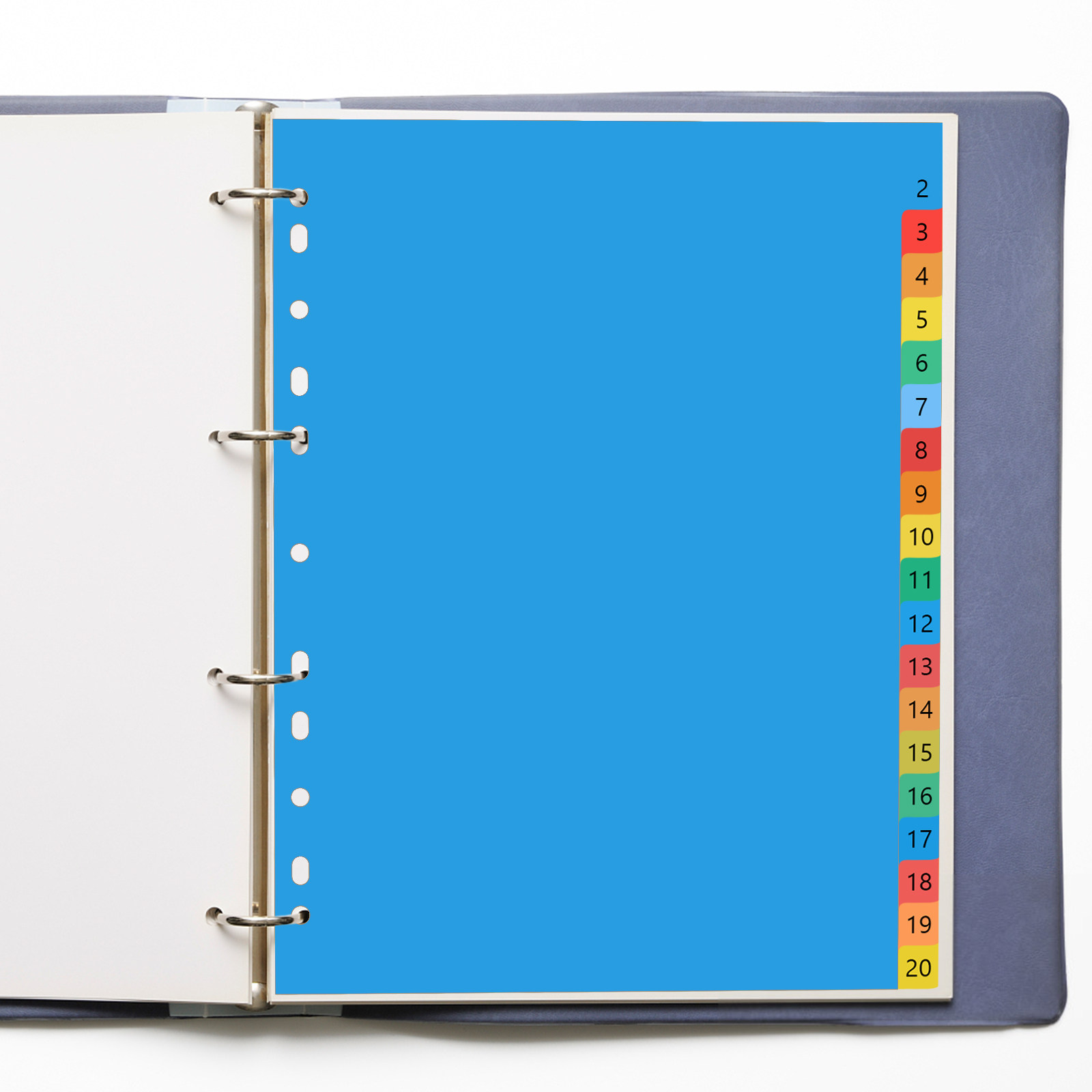 แผ่นแบ่งหมวดหมู่พลาสติกสีสันสด - Tab Divider A4 บทวิจารณ์และราคา